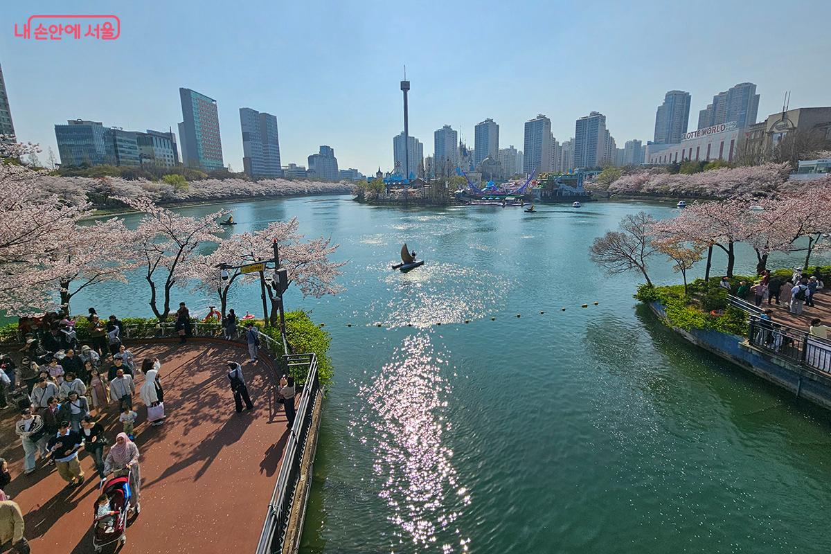 석촌호수 주변을 따라 끝없이 이어진 벚꽃길이 관람객들을 반겼다. ©이혜숙