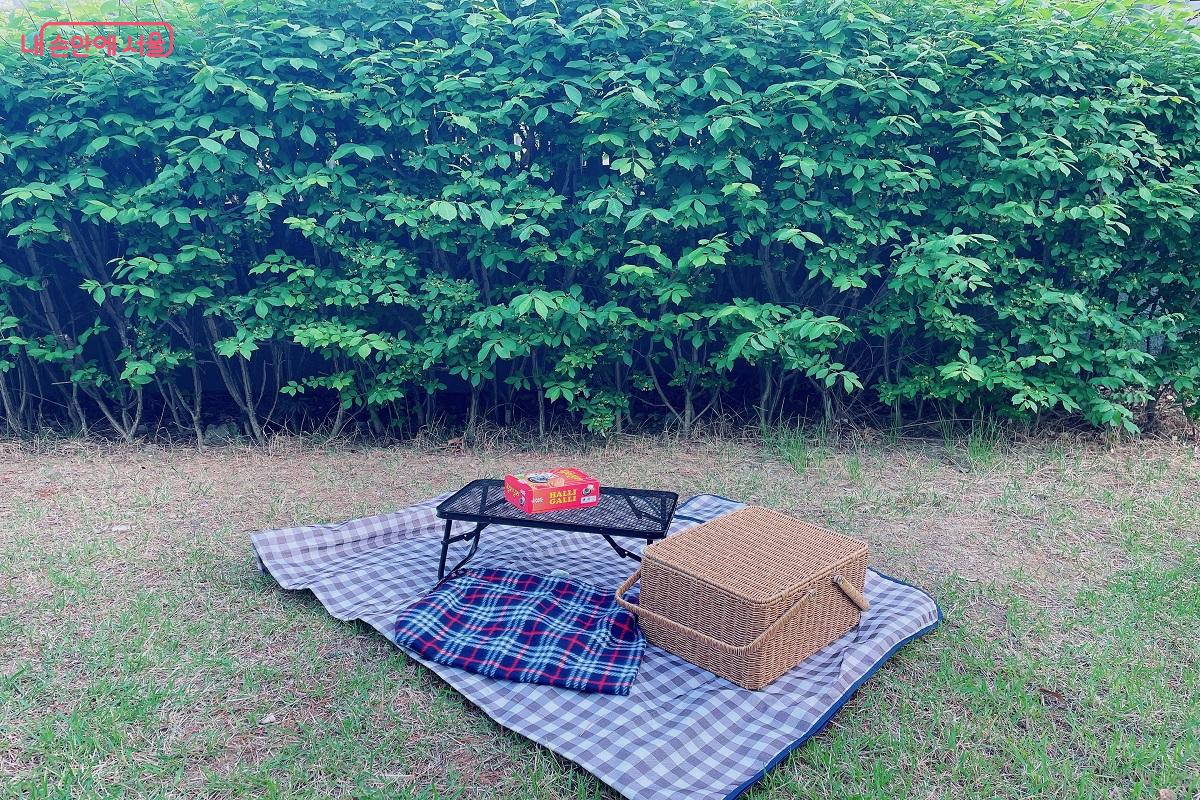 대여한 피크닉 용품으로 직접 즐겨본 피크닉 현장 &copy;변진영