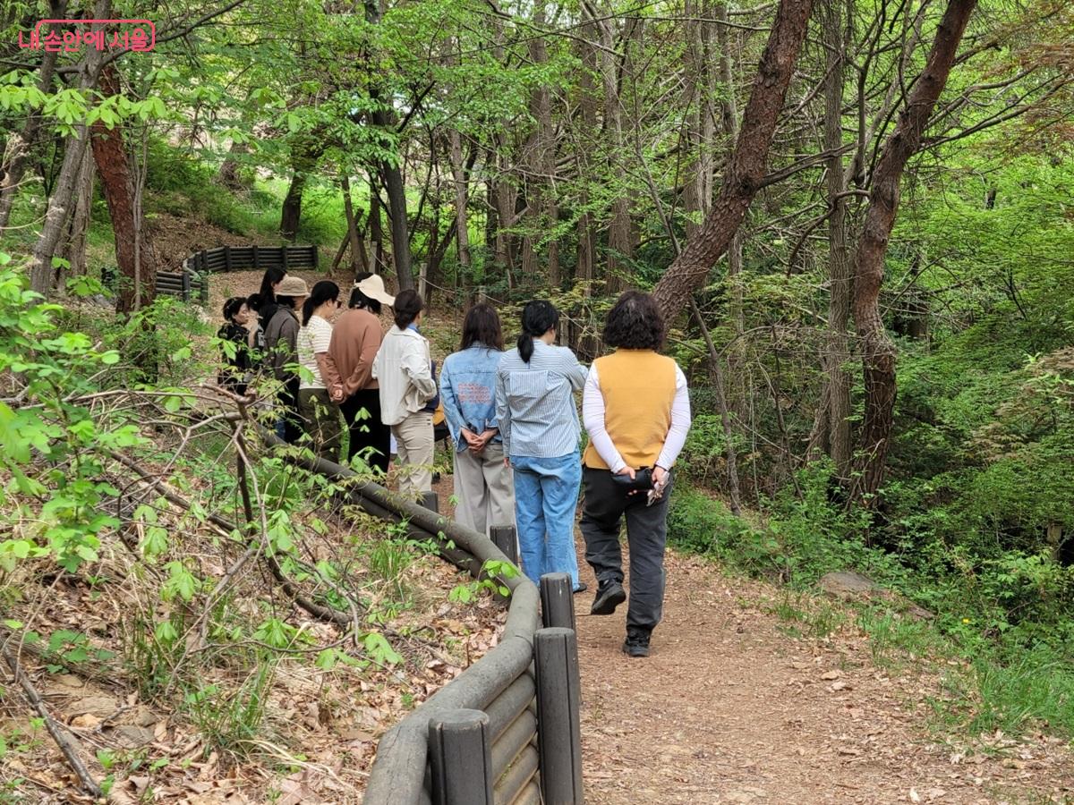 숲산책을 겸하는 숲치유 &copy;김병규