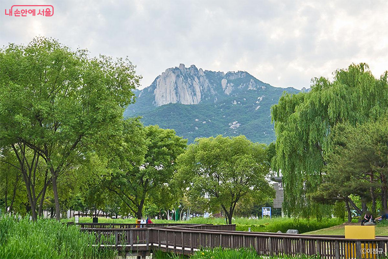 서울시는 봄을 맞아 ‘서울둘레길’ 전 구간에 대한 점검을 마쳤다. 사진은 창포원(서울둘레길 1코스)