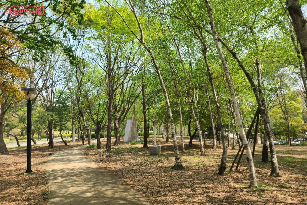 자작나무숲 길 &copy;김미정