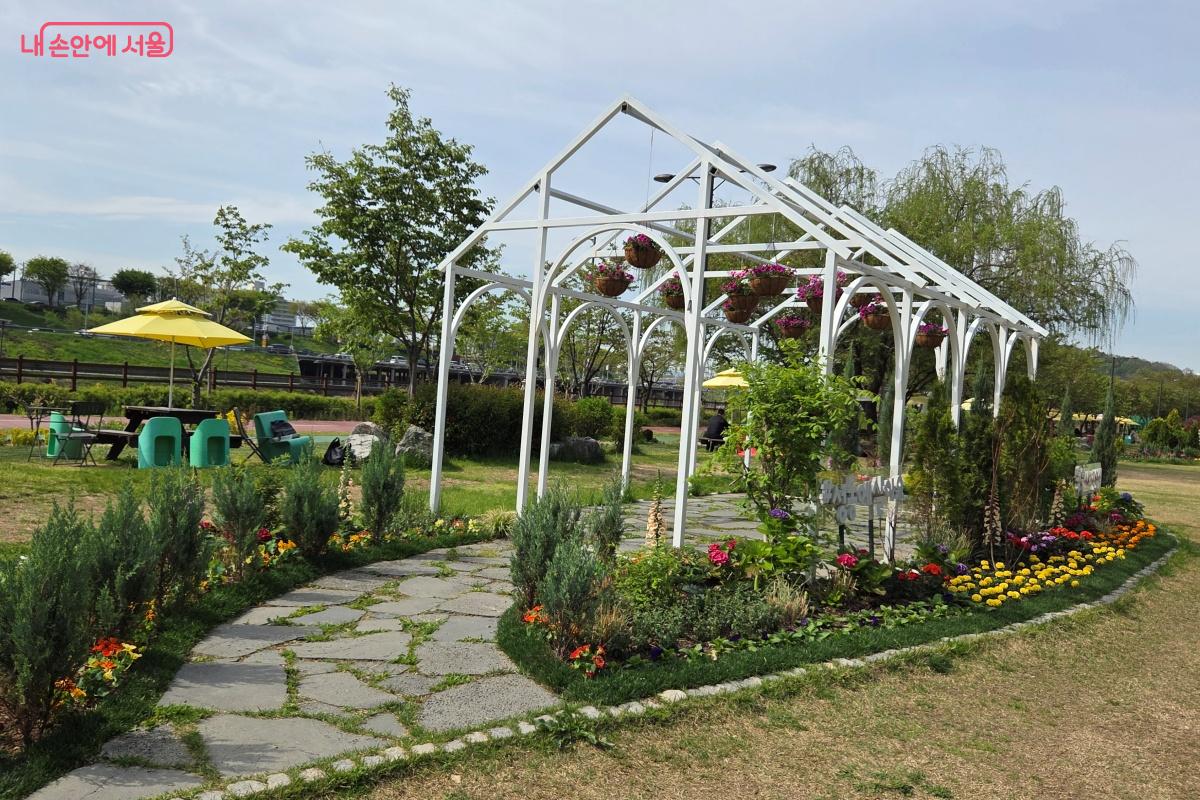 &lsquo;중랑천 피크닉정원&rsquo;의 화사한 봄꽃이 반겨준다. &copy;김미선