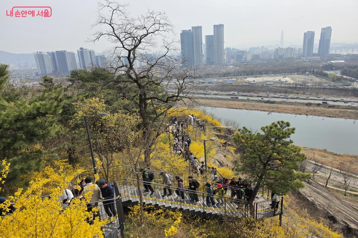 응봉산과 함께한 시민들 ⓒ조송연