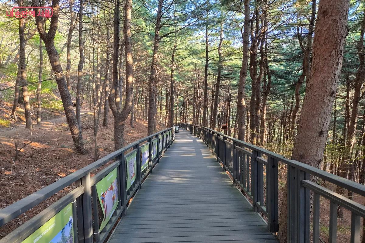 편안하게 산책할 수 있도록 조성된, 호암산 늘솔길 내 데크길 &copy;최현우