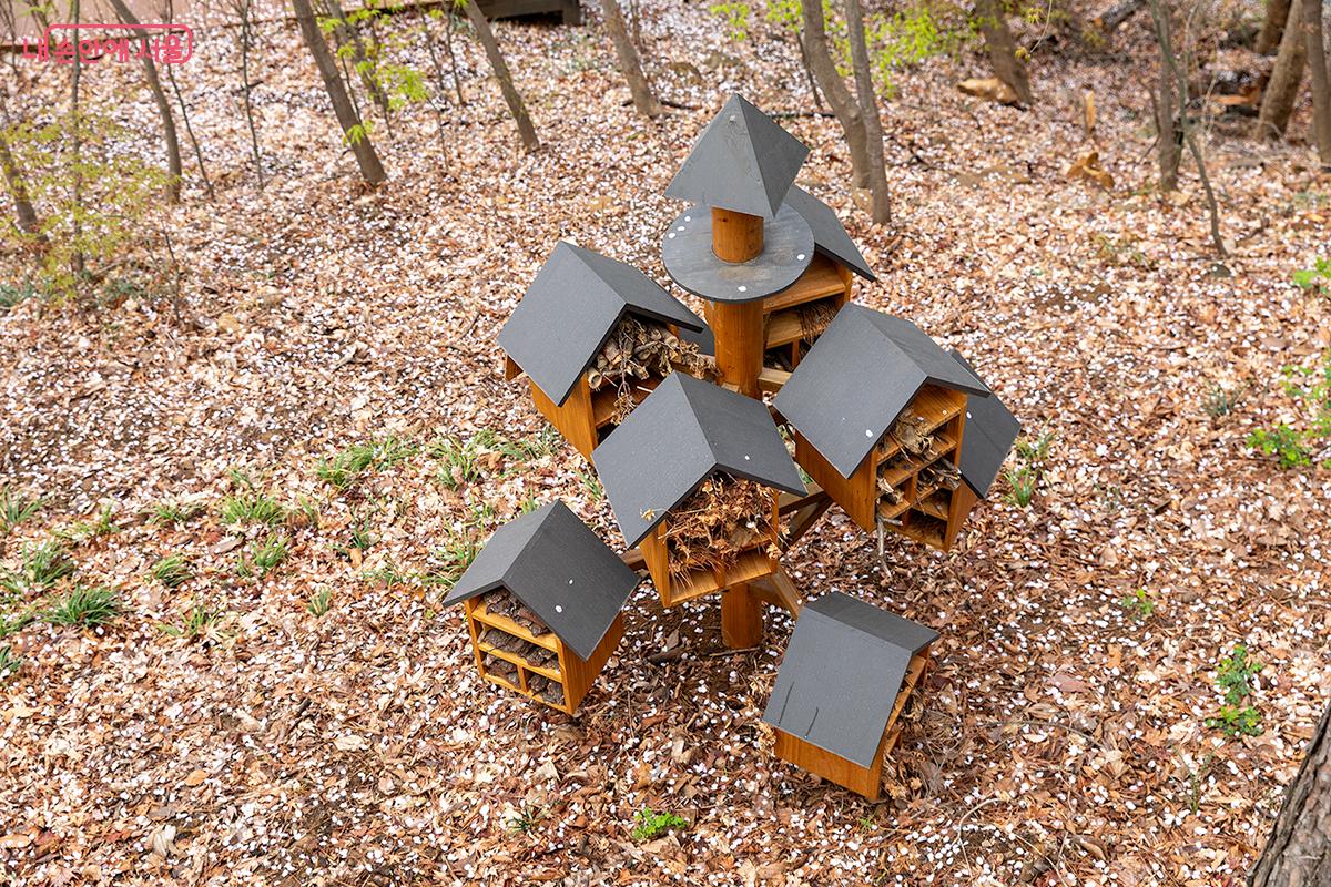 지난 겨울 습설로 부러진 나무들을 활용해 소생물 서식공간을 만들어 놓았다. ⓒ문청야