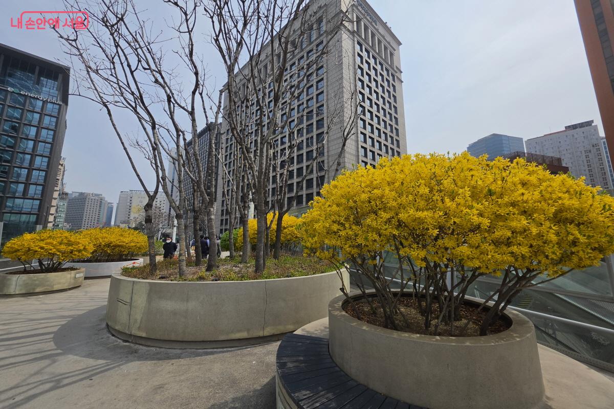 동행스토어 3호점은 서울역 7017에 위치하고 있다. &copy;조송연