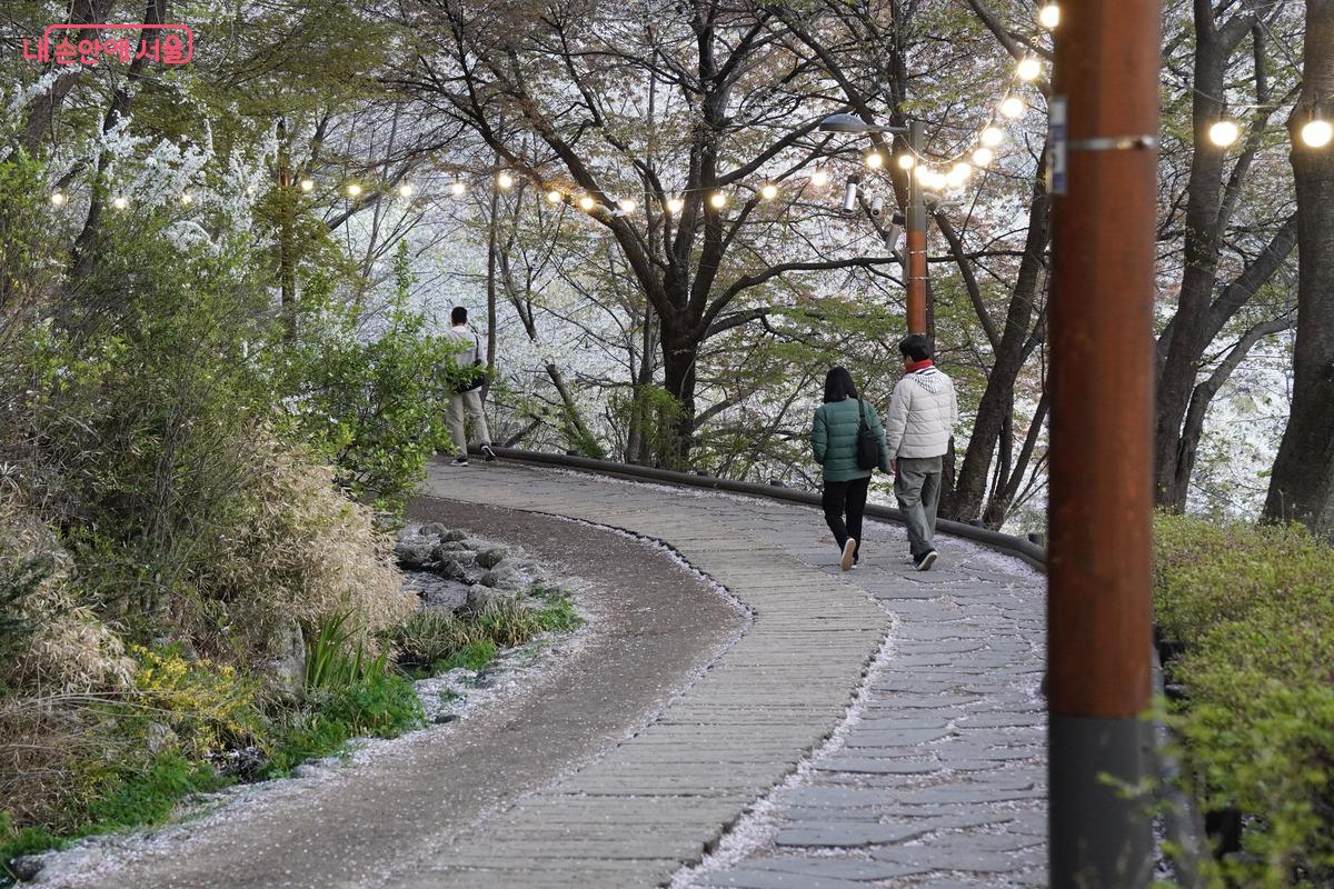 산책로 입구에서부터 부드러운 조명빛이 길을 따라 은은하게 이어집니다. 해가 진 후에도 환하게 불이 밝혀진 산책로 덕분에, 시민들이 여유롭고 안전하게 야간 산책의 정취를 즐기는 평화로운 풍경입니다.