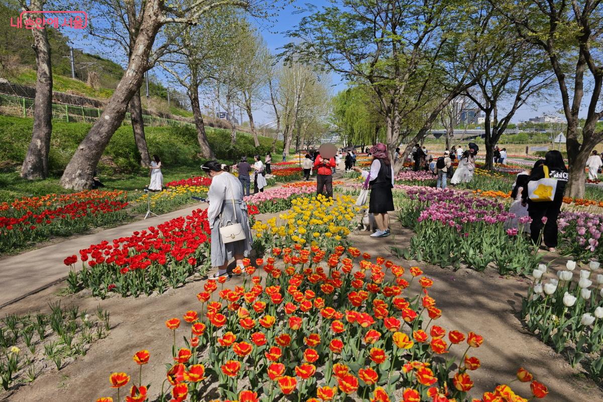 중랑천의 기존에 활용을 못 하고 남던 유휴 부지를 활용한 용비쉼터정원 &copy;염지연