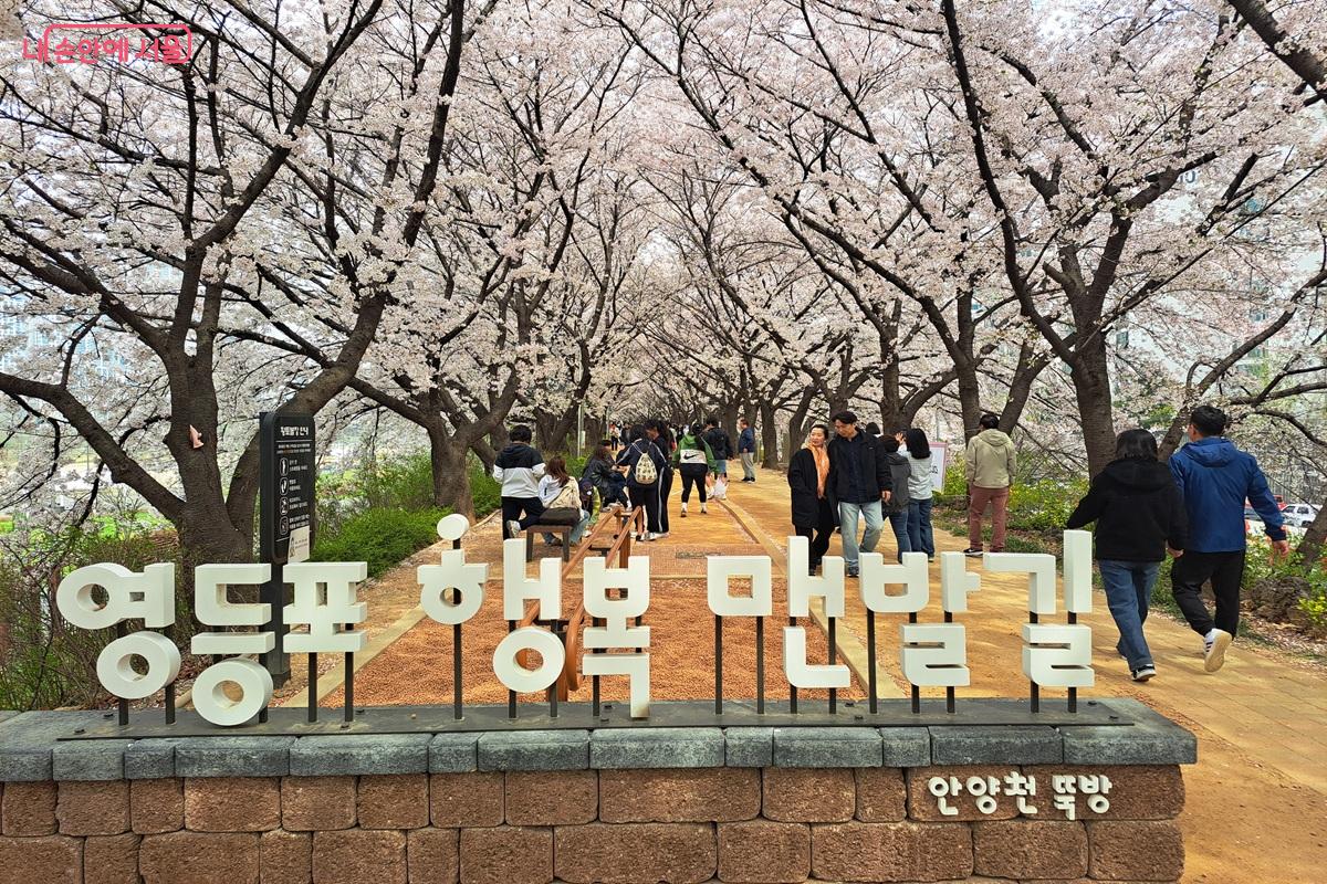 영등포 행복 맨발길에서 시민들이 벚꽃을 즐기는 모습 &copy;홍지영