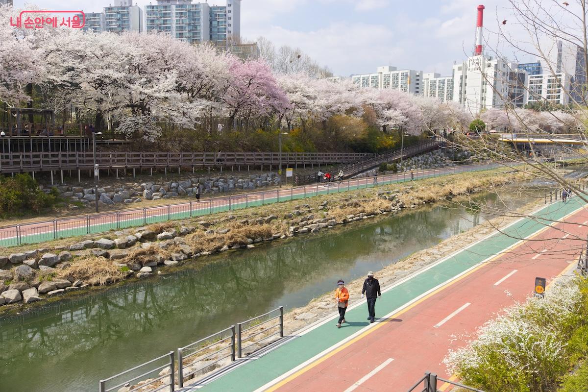 노원우이마루 수변테라스에서 바라본 우이천 풍경