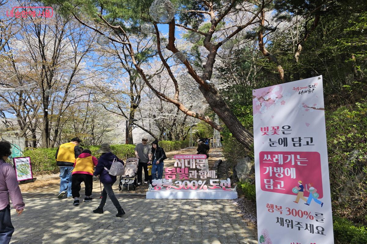 입구를 올라가고 나니 펼쳐지는 벚꽃나무들의 향연과 평지로 딱 걷기 좋은 코스가 이어진다. &copy;염지연