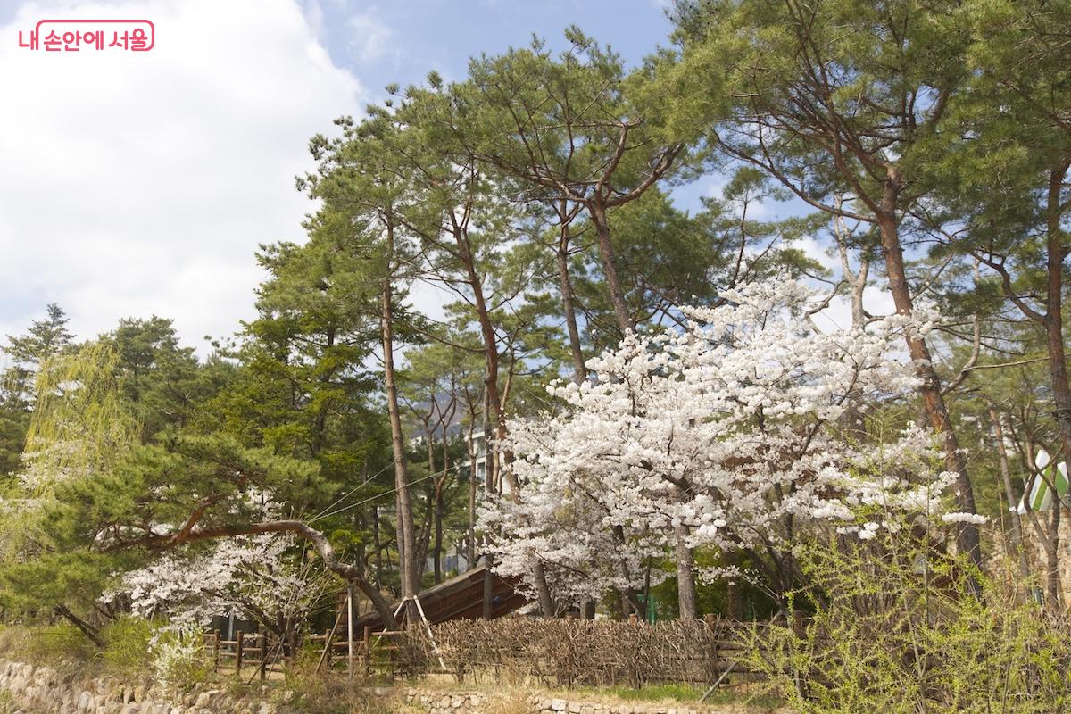 우이동 산악문화HUB주변에는 안토리조트와 공개공지(산책로)를 이용할 수 있다. ©서지희