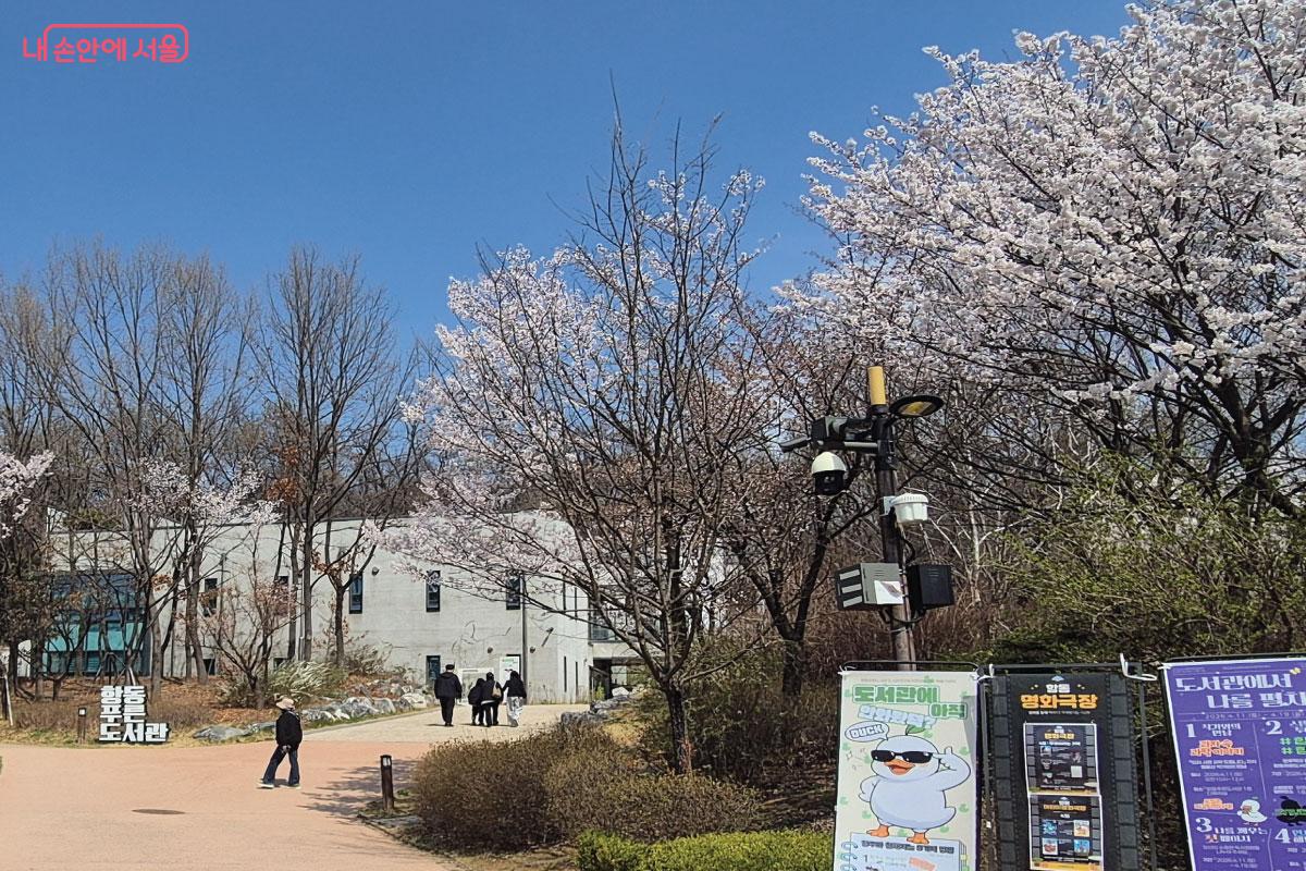 항동 푸른도서관으로 들어가는 입구
