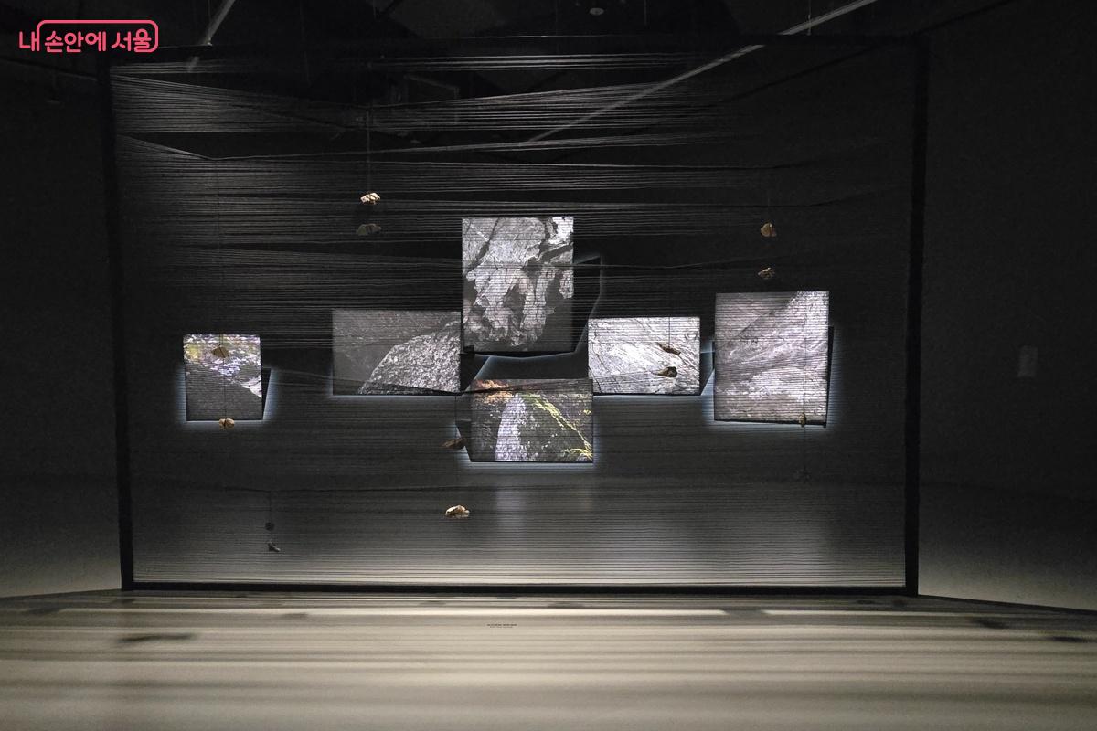  자연과 인간의 관계를 꾸준히 탐구하는 박항렬 작가의 작품 &copy;강사랑