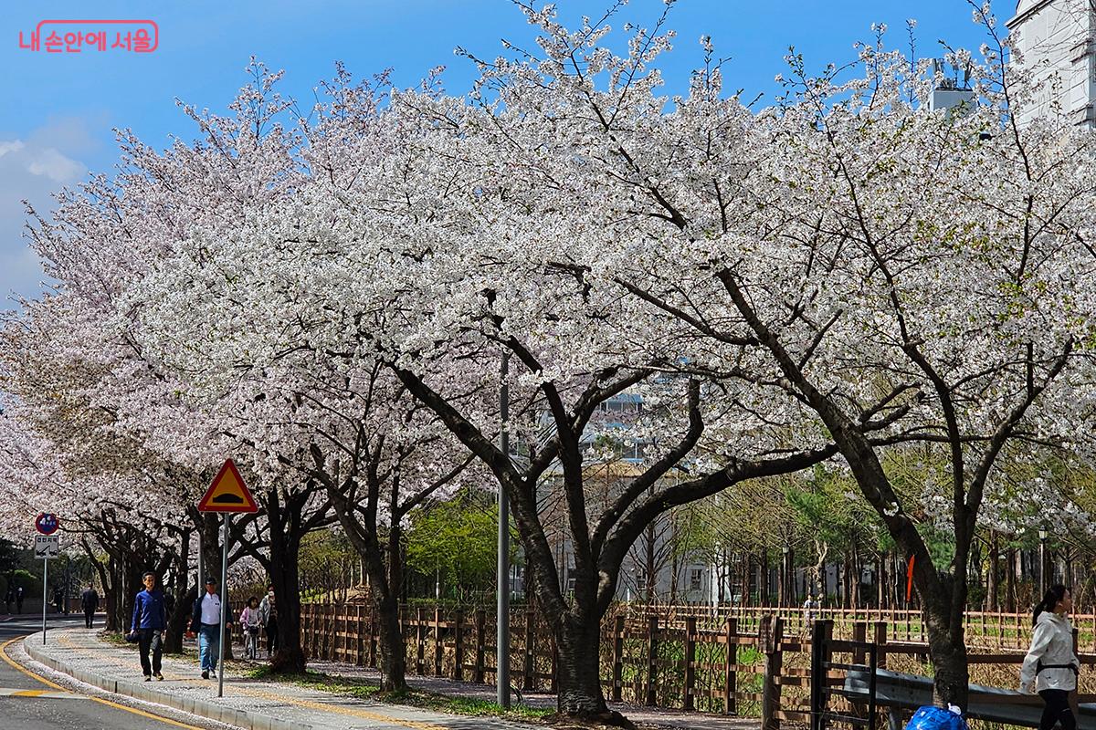 ‘서울물빛나루 15호 장지천 수변감성공원’이 앞으로도 시민들에게 사랑받기를 바란다. ©이혜숙