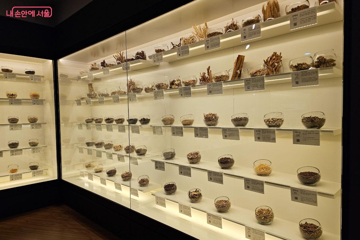 2층에서 전시 중인 한의약박물관. 평소 보기 힘든 한약재들이 정리되어 있다. &copy;홍혜수