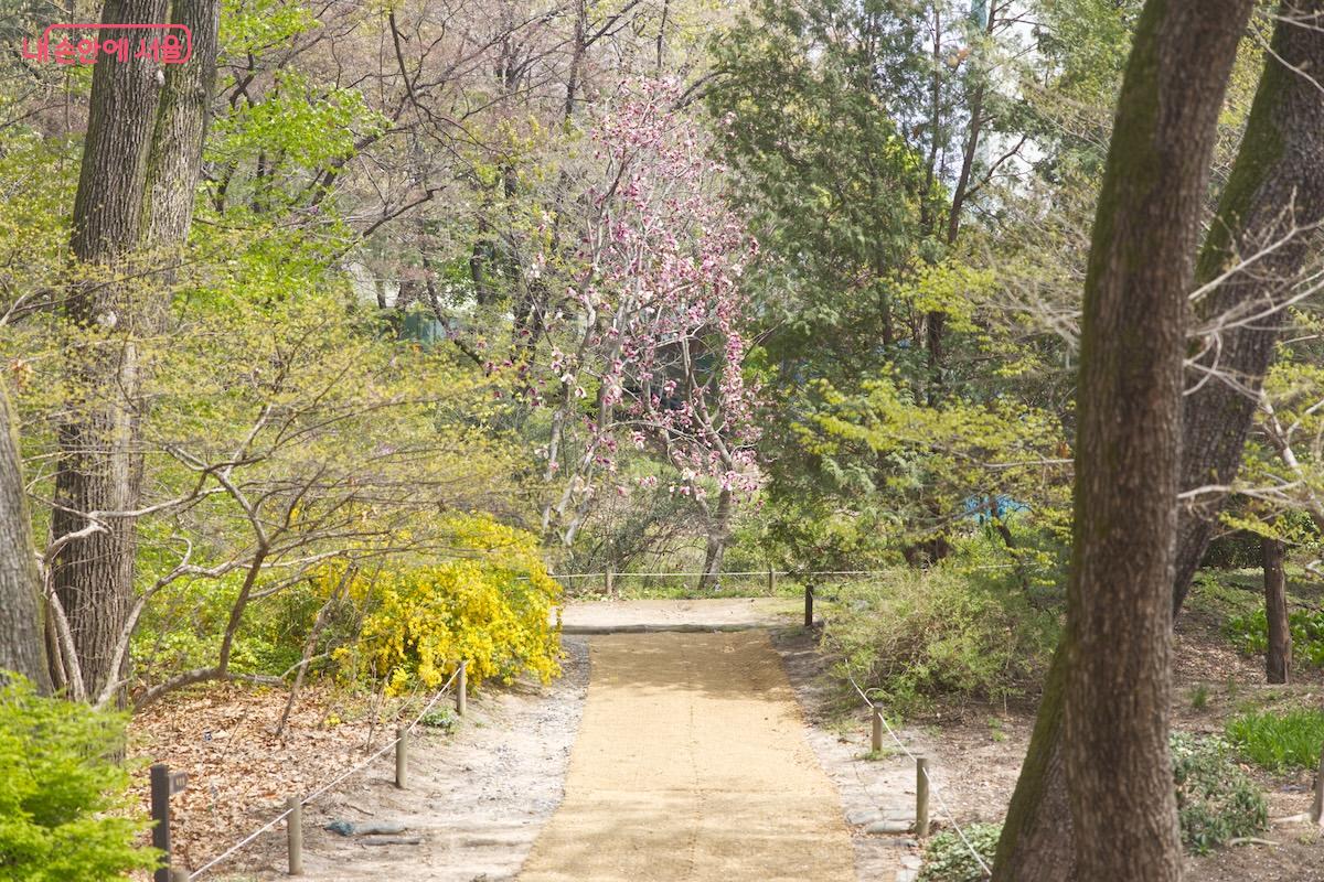 날씨가 더워지기 전에 평일, 주말 아무때나 꼭 홍릉숲을 방문해보자