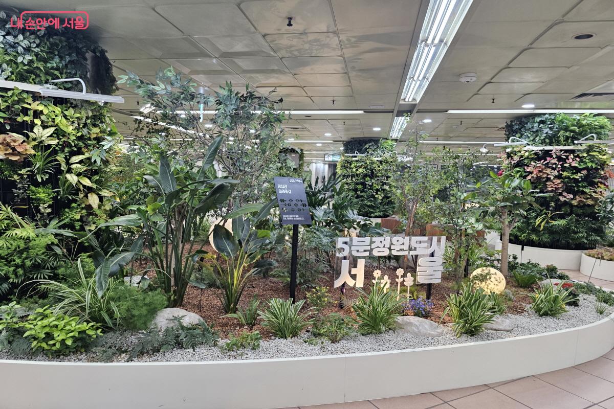  '5분 정원도시 서울'의 일환으로 조성된 곳으로 지역 내 유휴 공간을 활용해 만들었다. &copy;염지연