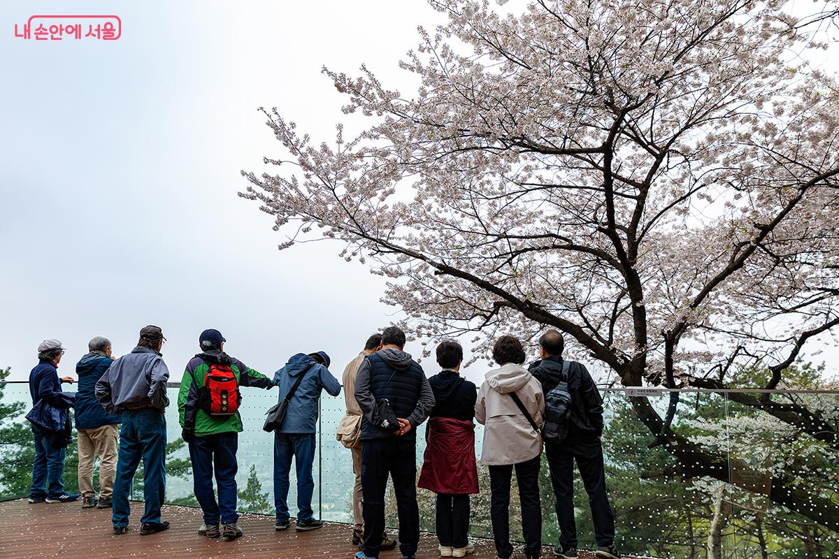 유리 펜스를 활용해 마치 공중에 떠 있는 듯한 개방감을 선사하는 노을전망대에서 시내를 바라보고 있는 관광객들 ⓒ문청야