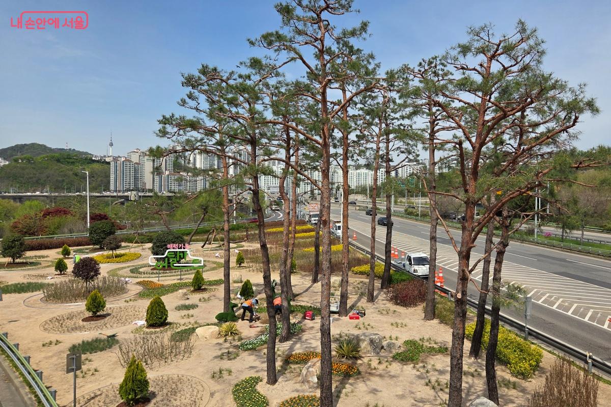 서울숲은 현재 &lsquo;2026 서울국제정원박람회&rsquo; 준비 중이다. &copy;김미선