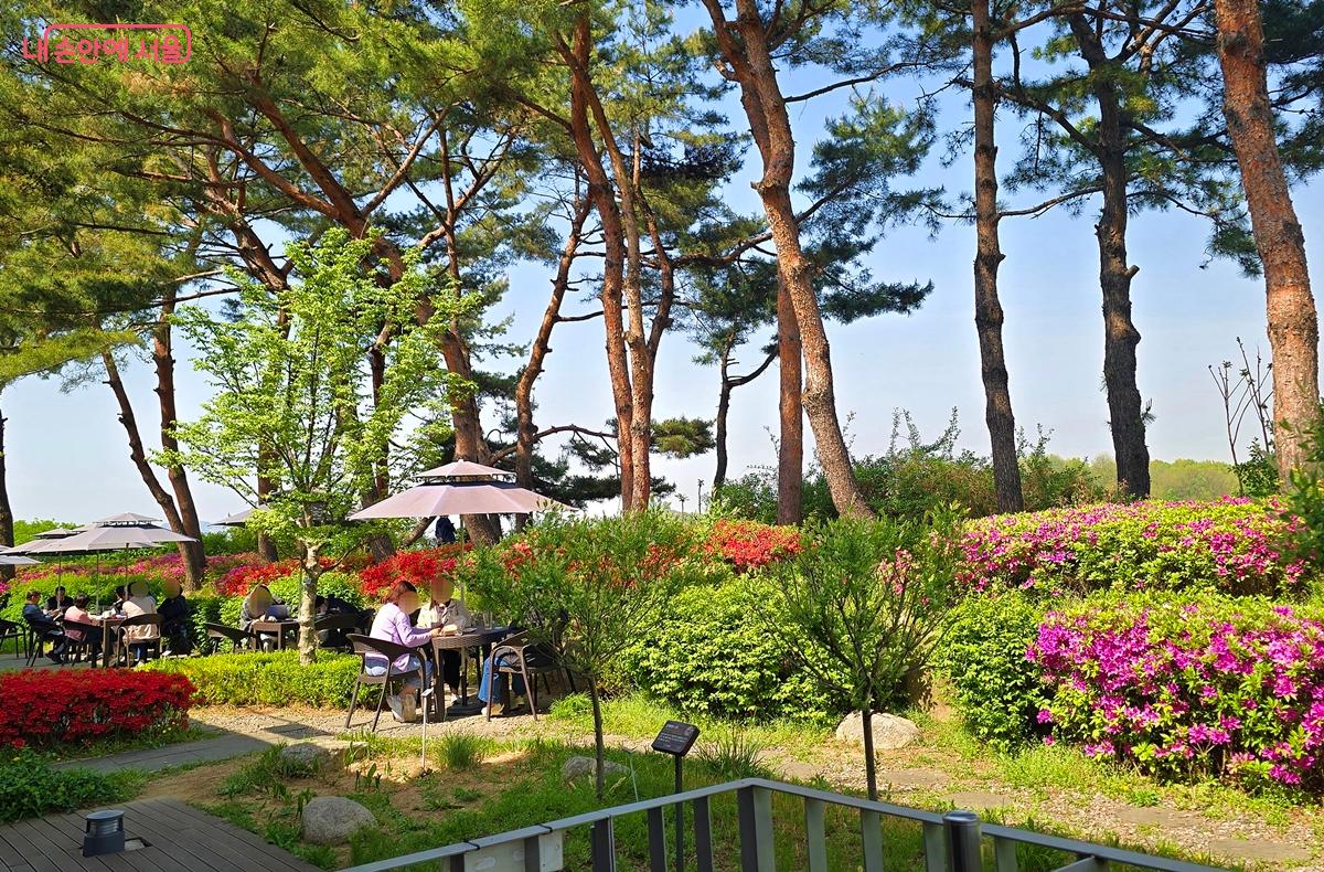 중랑망우공간 야외에서 시민들이 즐기고 있다. &copy;조성희