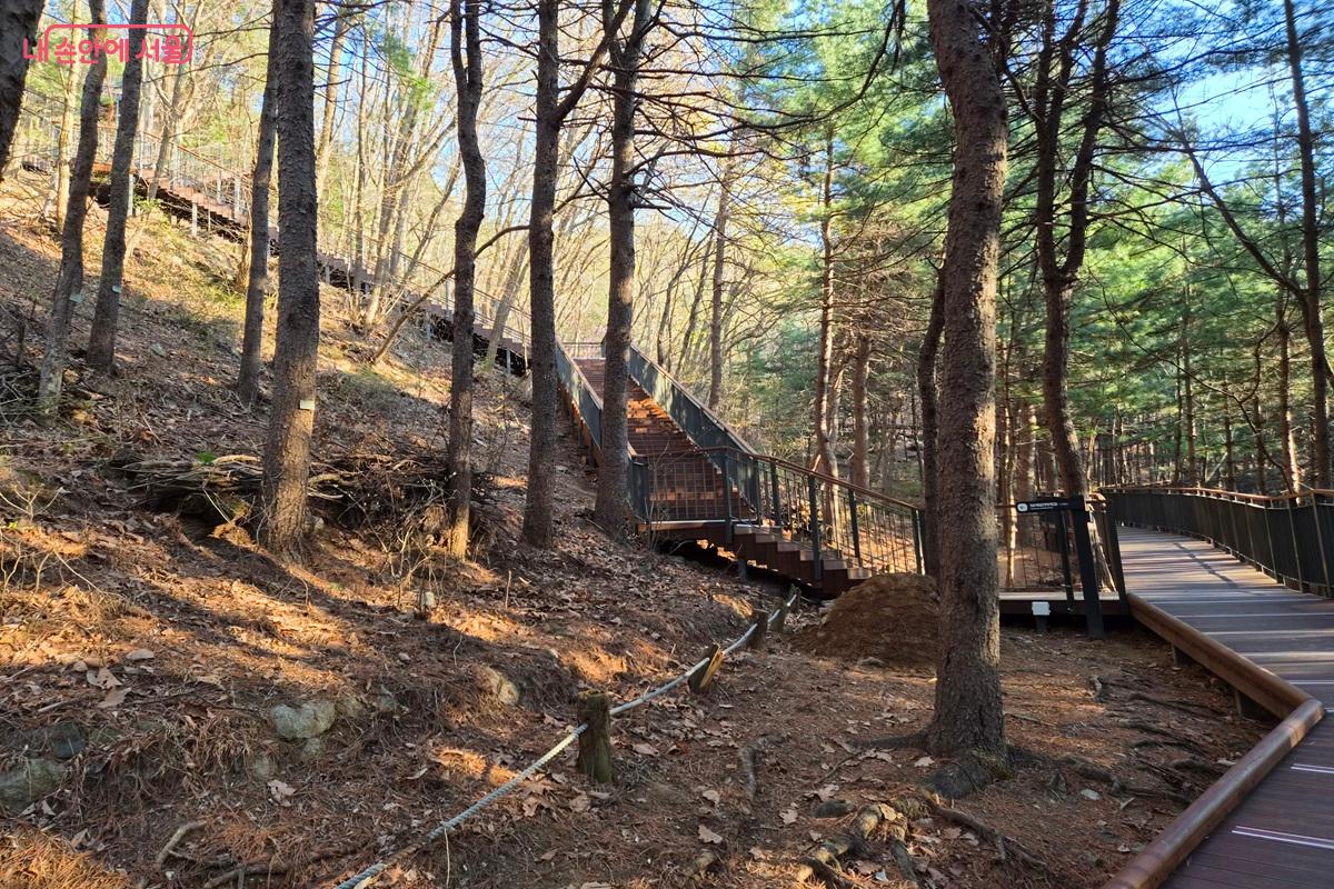 호암산 늘솔길과 연결된 호암마루길 ©최현우