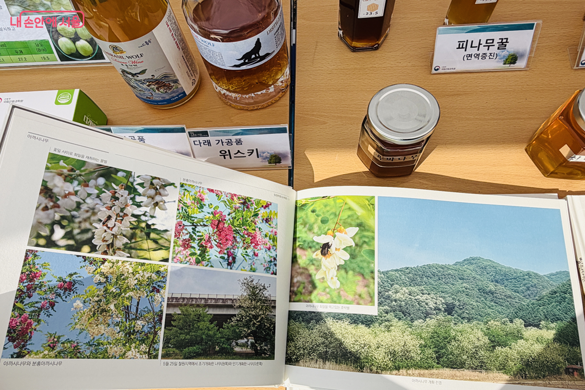 체험 부스를 통해 나무 한 그루가 탄소를 품고 지구를 지키고 있다는 사실을 새삼 깨닫게 되었다. &copy;김경선