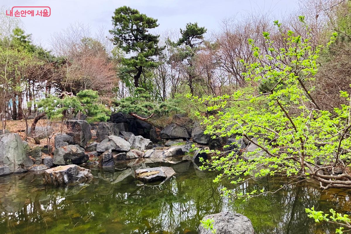 수면에 숲의 풍경을 거울처럼 품은 미르폭포 연못 ©이란