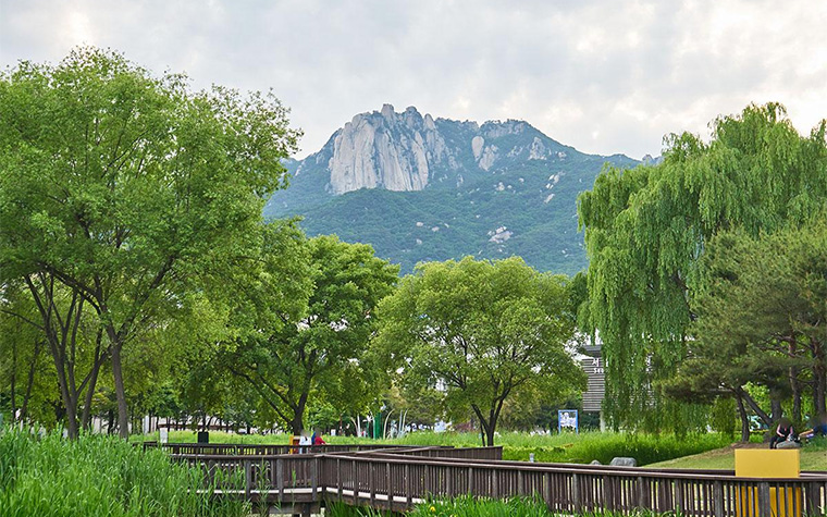 나만 알고픈 21개 힐링코스 '서울둘레길' 추천해 봄!