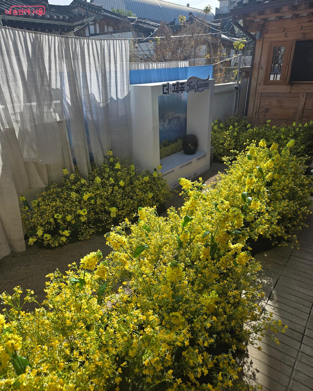 서촌 라운지 내부 사진 ⓒ권기윤