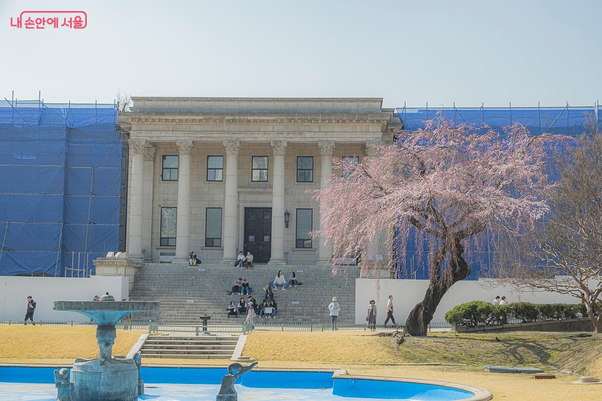 능수벚꽃이 피어나며 사람들이 자리에 앉아 한없이 봄을 만끽하고 있다. &copy;김지연