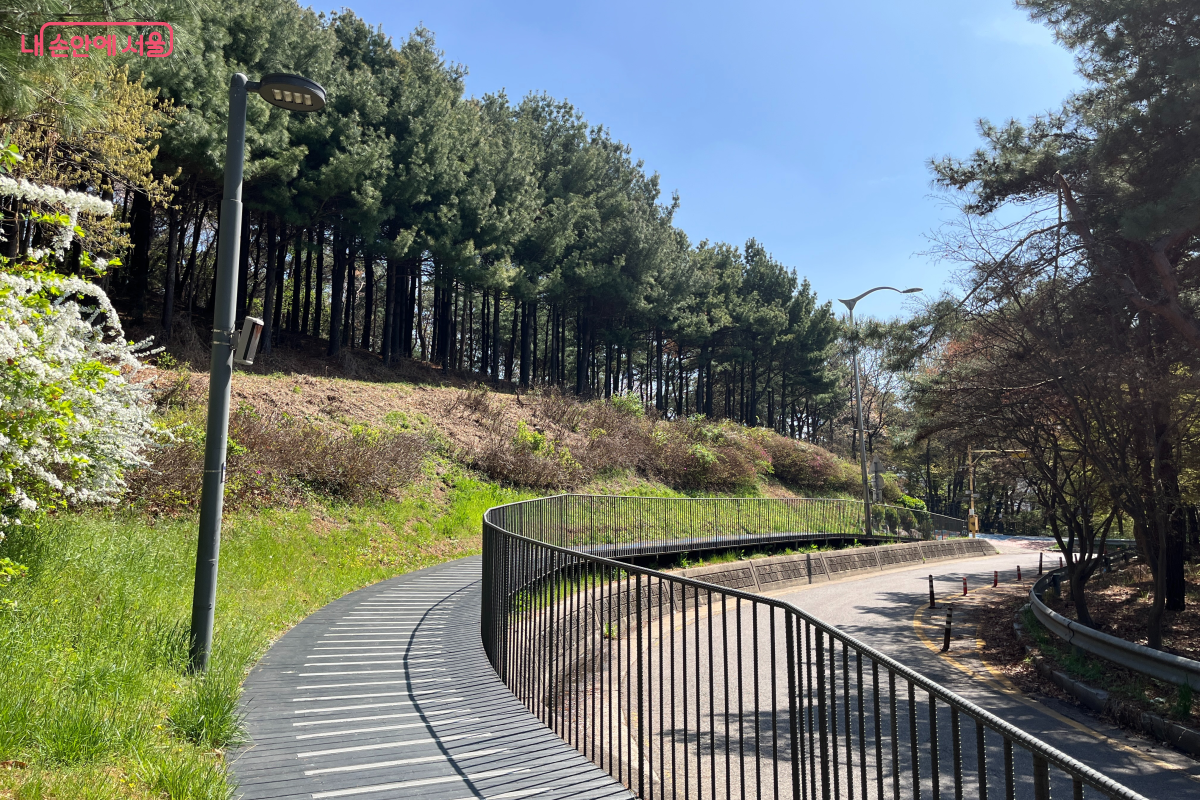 매봉산 무장애숲길 데크로드 &copy;최세범