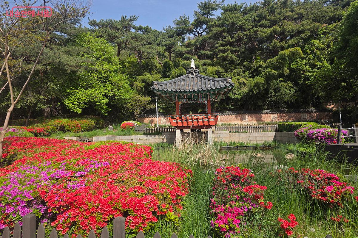 매봉산 입구에 위치한 담소정은 이규보의 사륜정의 건축적 요소가 연결되어 있다. &copy;이정민