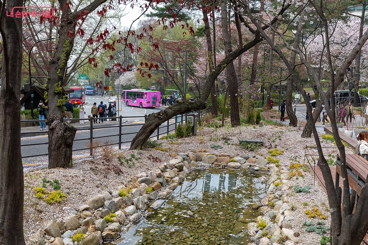 서울 도심 한가운데에서 숲을 온전히 느끼고 싶다면 지금 남산으로 떠나보자 ⓒ문청야