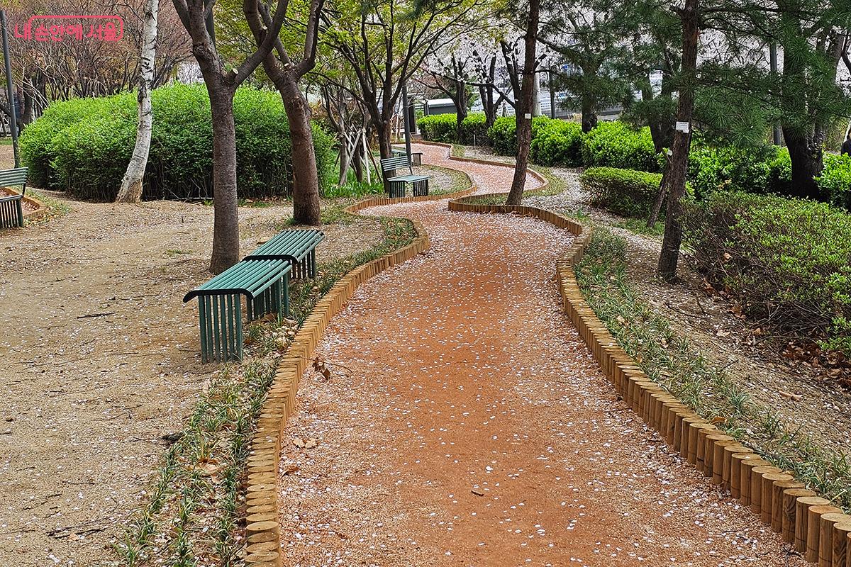 벚꽃이 떨어진 황톳길을 맨발로 걸으며 자연이 주는 치유의 힘을 느껴본다. ©이혜숙