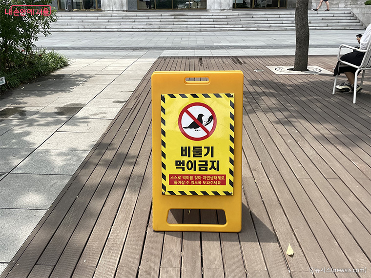 광화문광장에 세워진 집비둘기 먹이주기 금지구역 안내판.