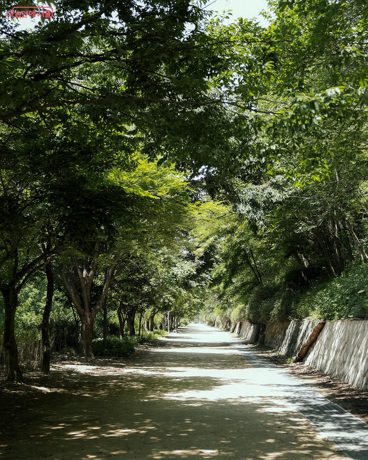 노을공원 산책로는 하늘공원에 비해 한층 호젓한 분위기를 자아낸다. ©김아름