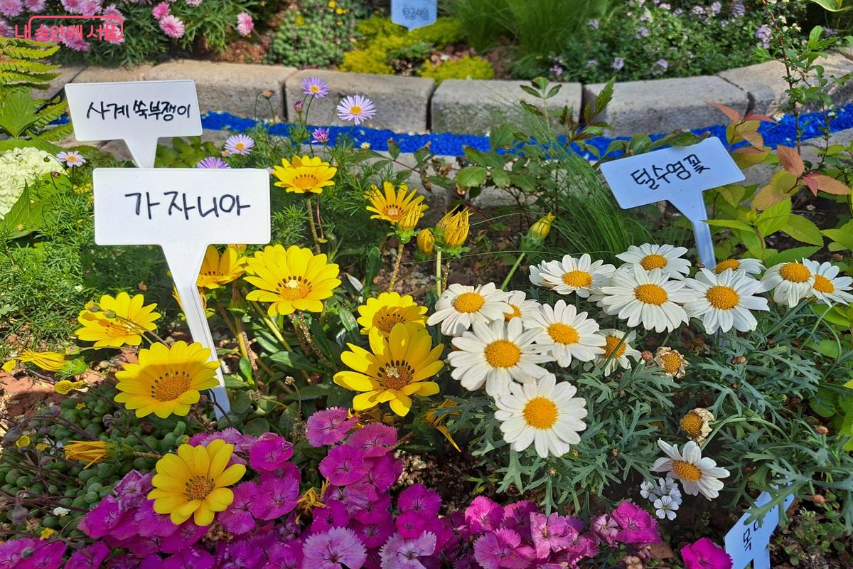 전시하는 꽃들은 대부분 시민들이 알 수 있도록 이름을 보여주고 있다. &copy;홍지영 
