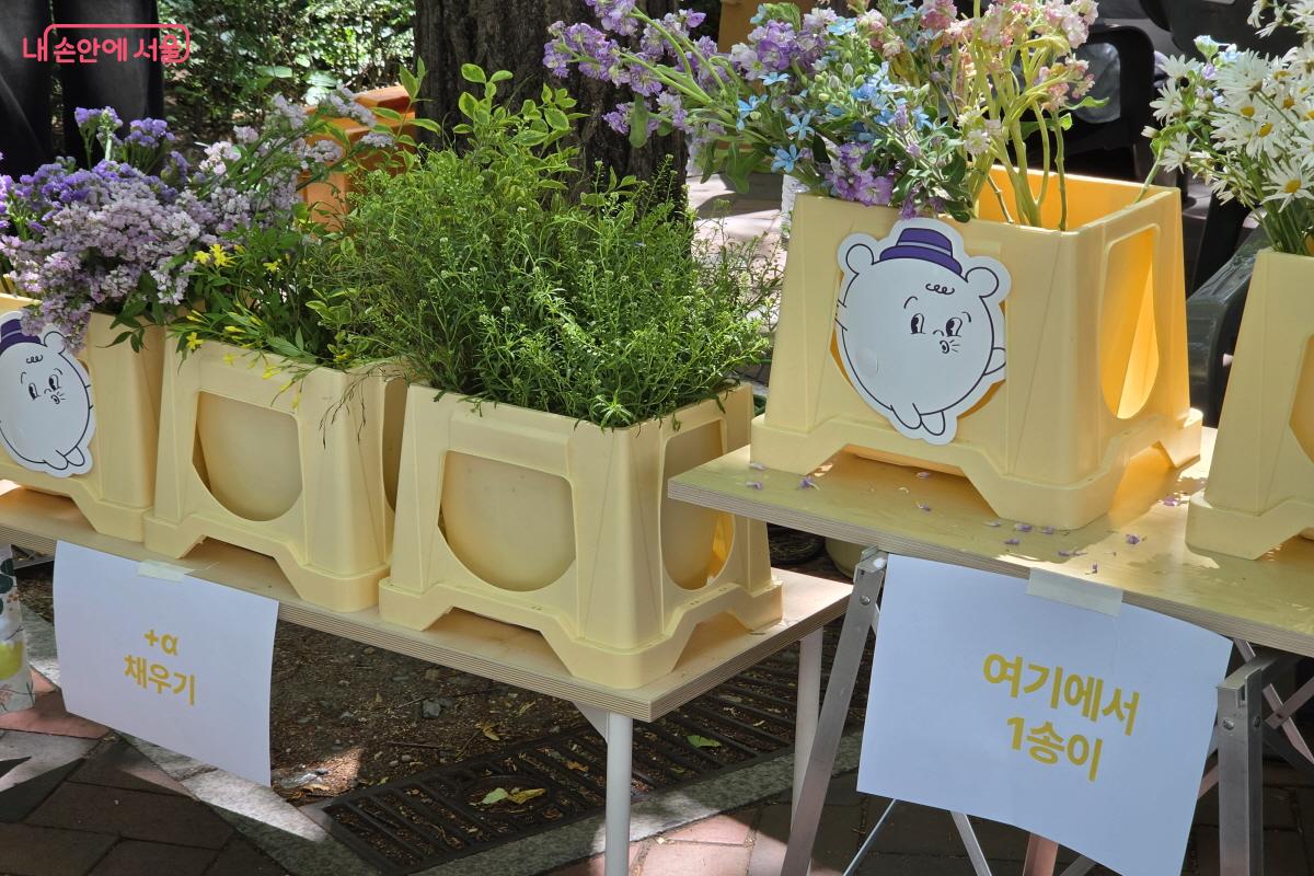 성년의 날인 장미와 같은 꽃을 선물한다. 이날 축제에서도 성년을 맞은 2007년생들에게 꽃을 선물했다.