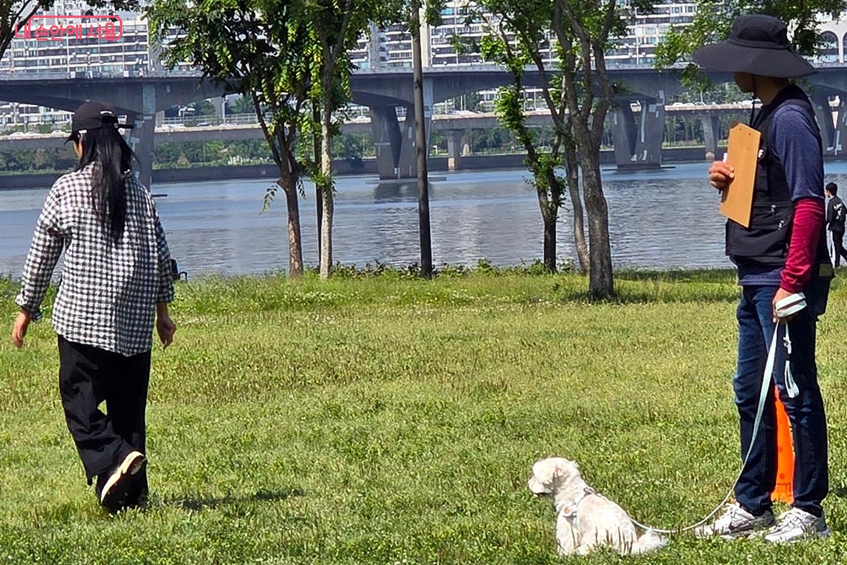 반려견과 보호자를 일정 거리 떨어뜨려 놓은 상태에서 심사가 진행됐다. ©김윤경