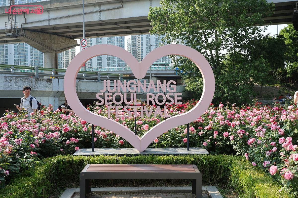 장미공원 곳곳에 포토존이 마련되어 있다. 