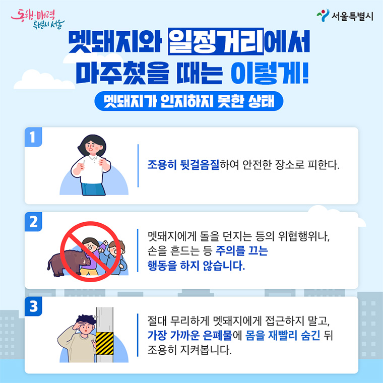 멧돼지와 일정거리에서 마주쳤을 때는 이렇게