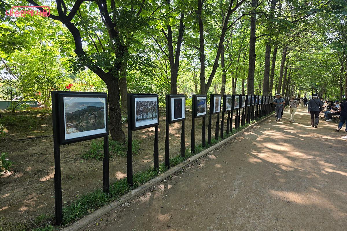 푸르른 나무 그늘 아래 늘어선 정원 사진 전시 공간을 따라 시민들이 산책을 즐기며 여유로운 시간을 보내고 있다. &copy;양순남