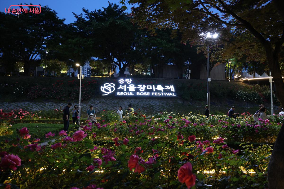 야간 관람은 저녁 7시~8시 무렵이 사진 촬영하기 가장 적당하다. 