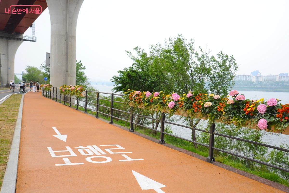 서울숲 선착장 주변의 &lsquo;야생화정원&rsquo; ⓒ조수봉