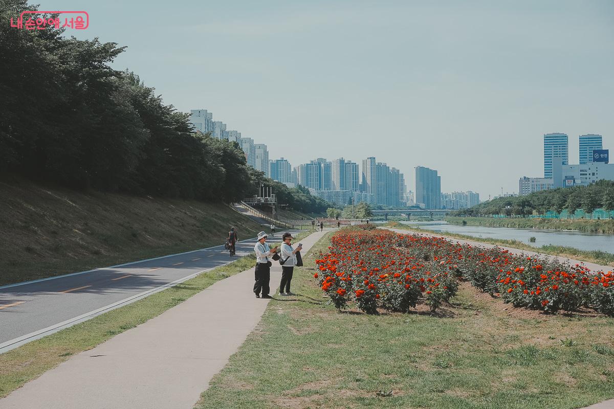금천자전거종합서비스센터를 출발점 삼아 안양천의 봄날을 시원하게 달려보자. ©김성무