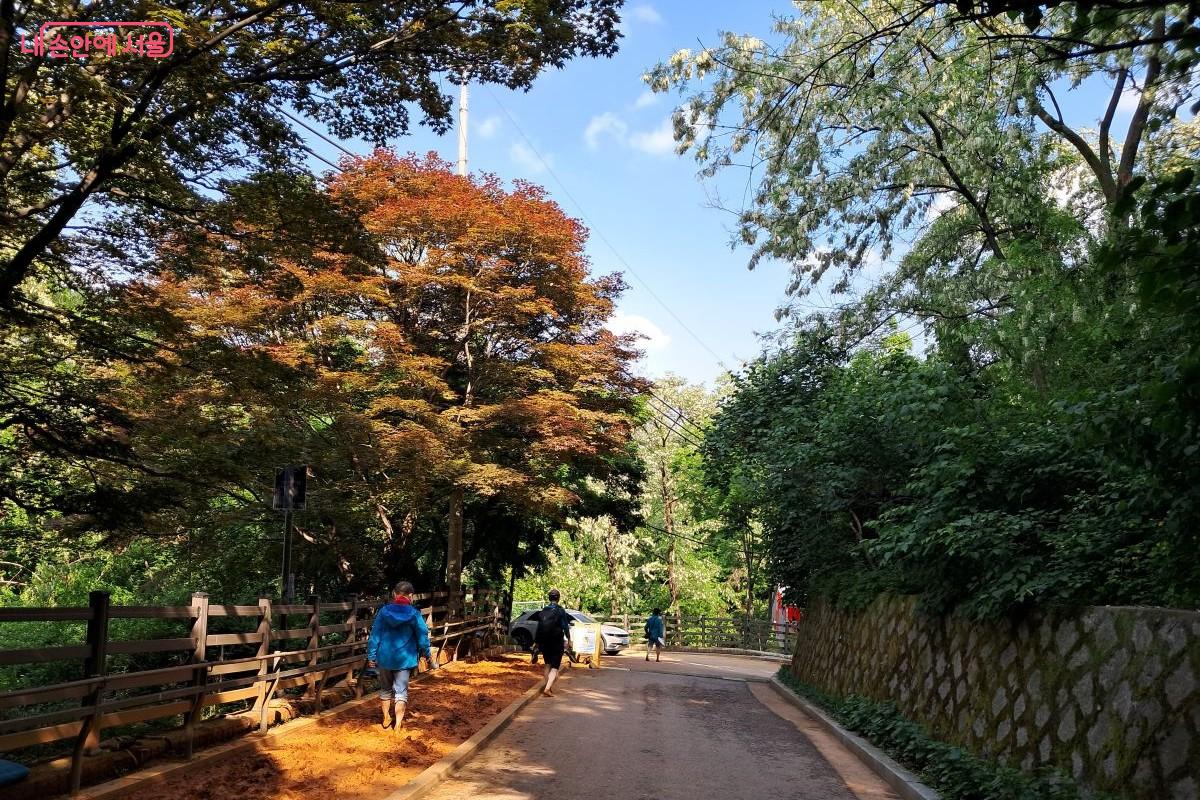 안산 숲길을 따라 조성된 맨발 황토길을 걷고 있는 시민 ©장형진