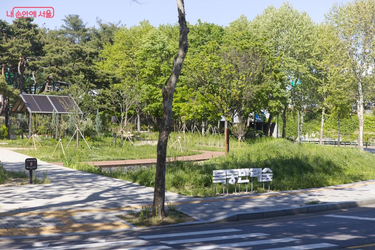 목동종합운동장에 주차를 하고 안양천 멀티스포츠존으로 향하는 길 &copy;임중빈
