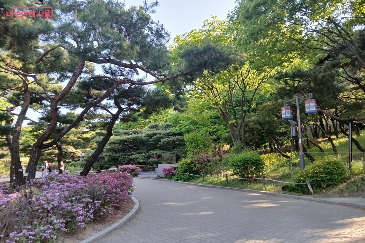 자연을 벗하며 산책하기 좋은 남산골한옥마을 주변 ©최은영