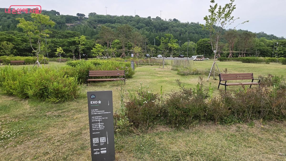 난지한강공원 스타숲에 있는 EXO 2호숲, 2013~2025년 스타 21명 참여했다